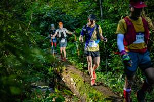 BIB: 
                            <button type="button" onclick="openModal(18922714)" class="btn btn-primary btn-sm float-right btn-popup" data-toggle="modal" data-target=".modal-high-quality">
                        <i class="fas fa-shopping-cart"></i> Add to Cart
                    </button>
                                            <button type="button" onclick="isThisMe(18922714, true)" class="btn btn-success btn-sm float-right btn-popup btn-isme hidden" data-toggle="tooltip" data-placement="bottom" title="นี่คือรูปของคุณใช่ไหม คลิกที่นี่เพื่อเอาเข้าอัลบั้ม">
                        <i class="fas fa-plus"></i> Add to album
                    </button>
                    <button type="button" onclick="isThisMe(18922714, false)" class="btn btn-warning btn-sm float-right btn-popup btn-isnotme hidden">
                        <i class="fas fa-ban"></i> Remove from album
                    </button>